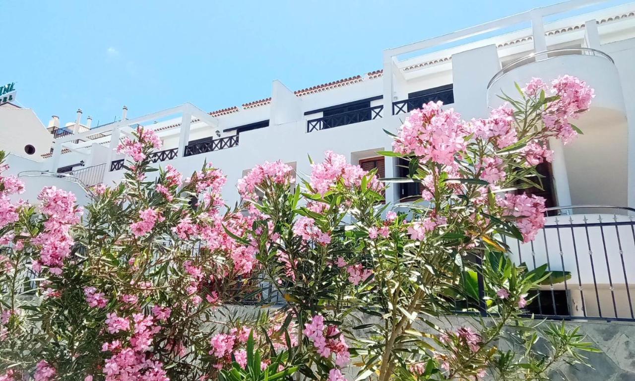 Under The Lime, Beautiful Apartment Los Cristianos Los Cristianos  Ngoại thất bức ảnh